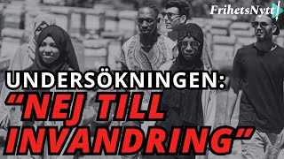 CHOCKSIFFROR: Svenskarnas radikala syn på massinvandring