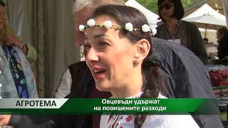 Агротема: Овцевъди удържат на повишените разходи, автор: Мирела Спасова