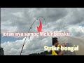 Mancing ikan bongal di sungai muara, panen strike bossku