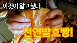 산본맛집) 우리동네 수제 발효빵집을 소개해 드립니다 ~