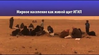 Боевики ИГИЛ похитили 8 тысяч семей для живого щита