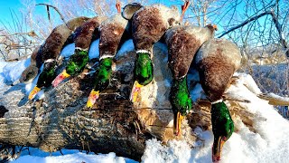 AMAZING SOLO DUCK HUNT on a SMALL RIVER in FRIGID TEMPERATURES | Skinny Water Duck Hunting