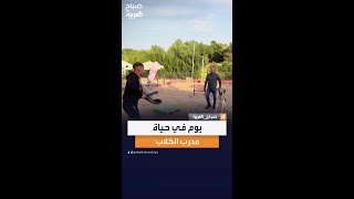 كواليس مهنة.. يوم في حياة مدرب الكلاب شريف إبراهيم