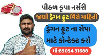 ડ્રેગન ફ્રૂટ વિશે જાણો,અને ક્યાં મળશે એના રોપા ૨૦૧૯