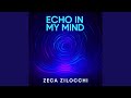 Echo In My Mind