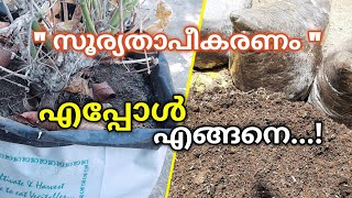 മികച്ച വിളവിന് ഇങ്ങനെ മണ്ണ് ഒരുക്കു | Garden Soil Preparation in Malayalam | Krishi Tips Malayalam