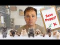 Analyzing Animal Shelter Data with Plotly Dash Python (Full Data Science Project)