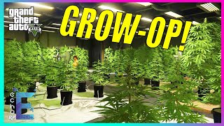 GROWING SOME GREEN! | Grand Theft Auto 5 Roleplay (Echo RP)