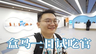 【面面大观】盒马一日试吃官体验 神仙工作就是吃 Freshippo Office Tour