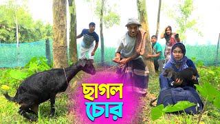 তাঁরছেরা ভাদাইমার অস্থির হাসির কৌতুক ছাগল চোর | Cagol Chor | Tarchera Vadaima | New Koutuk 2025