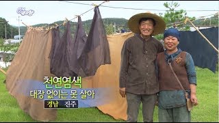 [6시내고향-창원] 천연염색, 대장 없이는 못 살아 - 경남 진주 (2017.07.31, 월)