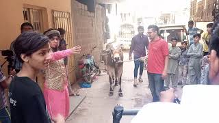 Bakra Eid Upcoming Kalam 2021 | Yasir Soharwardi | Ys Blog 2021