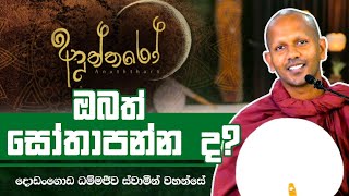 ඔබත් සෝතාපන්නද?