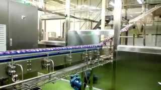 Hefei Zhongchen Canning line at Pepsi Plant.