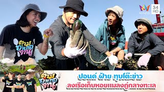 ปอนด์ ฝ้าย ทุบโต๊ะข่าว ลงเรือเก็บหอยเเมลงภู่กลางทะเล | ตามอำเภอจาน x ผู้ประกาศข่าว