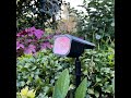 NEW Solar Range | Litecraft - Lighting Your Garden