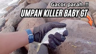 Gacor Parah❗❗Ternyata umpan ini sangat killer untuk baby GT