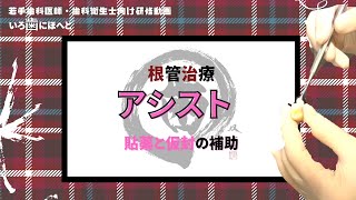 根管治療のアシスト【貼薬と仮封の補助】バキュームのコツ