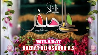 9 Rajab Whatsapp Status Wiladat e Hazrat Ali Asghar A.s |Sehzada Ali Asghar Wiladat Whatsapp Status