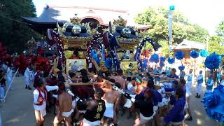 黒田×太尾 練り合わせ甲八幡神社 令和６年秋季例祭本宮