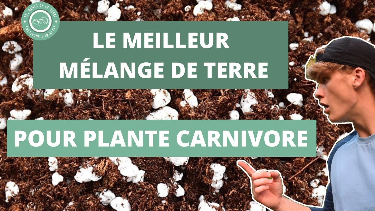 Comment Préparer LE SUBSTRAT Parfait Pour Plante Carnivore ? 🌱 - YouTube