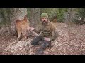 vermont 3000 foot mountain beaver pond and its habitat