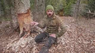 Vermont 3000 foot Mountain Beaver pond and its habitat