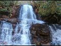 Explore Laurel Falls with Jeff  / ASMR / Smoky Mountains