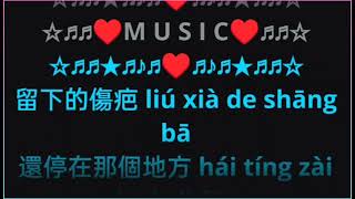 Ai Guo Le ye Shang Guo Le 爱过了也伤过了 by Su Tan Tan female karaoke