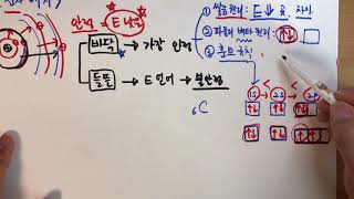 전자배치 표현(바닥상태, 들뜬상태)