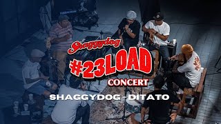 #23LOADCONCERT | SHAGGYDOG - DITATO [LIVE ACOUSTIC]