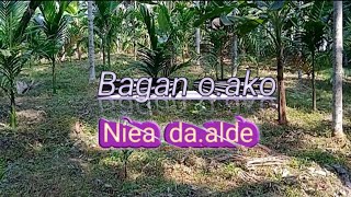 Bagan nina re.anga