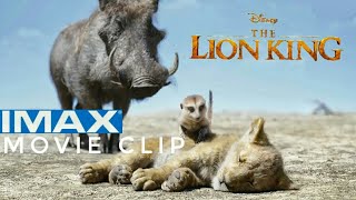 Pumbaa and Timon meet Simba Scene - THE LION KING IMAX ® clip