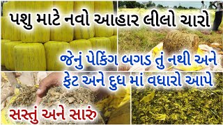 pashu mate no Lilo Saro | પશુ માટે નો લીલો ચારો , સાઇલેજ આહાર , પેકિંગ સાથે સમગ્ર ગુજરાત માં મળી જસે