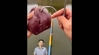 Mồi câu cá thủy quái, cá khổng lồ #cacconvat #docla #fishing