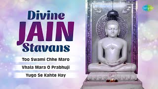 Divine Jain Stavans | Too Swami Chhe Maro | Vhala Mara O Prabhuji |  જૈન સ્તવન