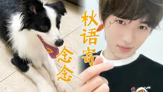 【TNT时代少年团 宋亚轩】初秋的天气有着独特的温暖和煦，想念的声音也会随之喷涌而出，小宋带着鼠标一起送来问候🍁 || 1080HD