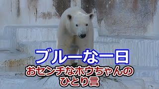 ブルーな一日💗おセンチなホウちゃんのひとり言【天王寺動物園】