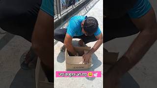 😯🕊️इन कबूतर को देखकर आपका होश उड़ जायेंगे #pigeon #kabutar #trending #ytshorts #viral #shorts