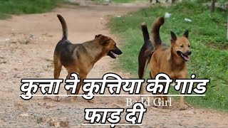 Porn with animal in Kalyan