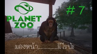 Planet Zoo : ลิงจั๊กจั๊ก ที่แปลว่ารักจริงจริง : #7