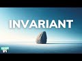 Invariants: How Understanding Limits Enhances Your Code