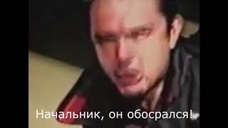 Зеленый слоник для глухонемых