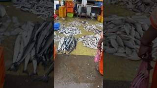 Mattuthavani Fish Market🐟🍤#youtube#ytshorts#viral#youtubeshorts#fishmarket#madurai#meenunmaathu