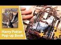 Harry Potter: A Pop-Up Book - Amazing 3D pop-ups.