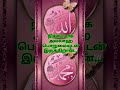 நிச்சயமாக அல்லாஹ் பொறுமையுடன் இருக்கிறான் தமிழ்பயான் தமிழ்முஸ்லிம்பயான் ஹதீஸ்