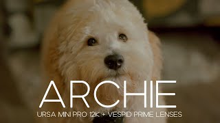 Archie | Ursa Mini 12k + Vespid Prime Lenses