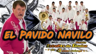 Banda Estrellas de Sinaloa de German Lizarraga - EL PAVIDO NAVIDO