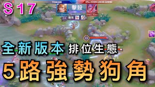 【林大仙】S17排位季初5路強勢角整理(全字幕)             傳說對決Arena of Valor