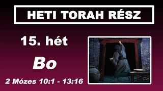 Torah részlet - 15. hét – Bo “Belépés, menj, jöjj” - 2 Mózes 10:1-13:16